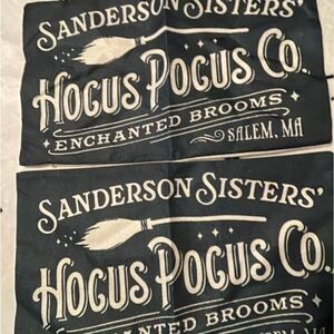 Set of Hocus Pocus pillowcases Halloween Sanderson Sisters small pillowcases